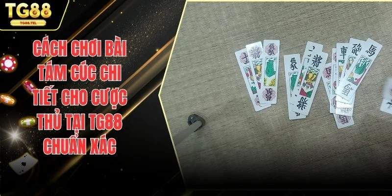 Cách Chơi Bài Tam Cúc Chi Tiết Cho Cược Thủ Tại TG88 Chuẩn Xác 1 Cách chơi bài Tám Cúc
