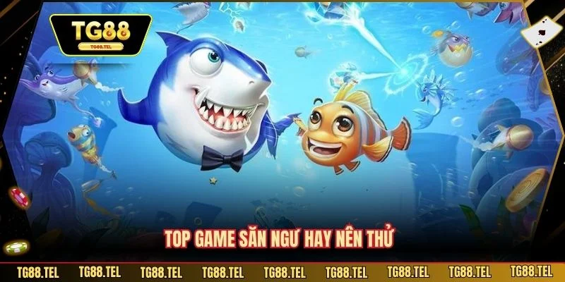 Top game săn ngư hay nên thử